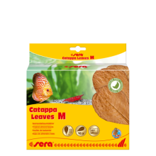 sera catappa yaprağı M 18 cm (10 adet)