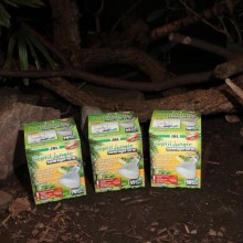 JBL ReptilJungle L-U-W Lamba 50 watt / UV-A ve UV-B 