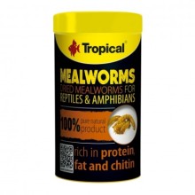 TROPICAL- MEAL WORMS KURUTULMUŞ UN KURDU 250ML/30GR