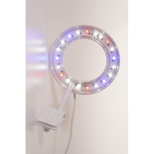 OrionLed Fanus & Nano Akvaryum Led Aydınlatma Spiral 5v / 