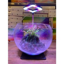 OrionLed  Fanus Aydınlatma & Teraryum Aydınlatma & Nano Akvaryum Led Aydınlatma 5V – Kare