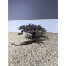 Mini Bonsai Tree  Ağaç Dekoru ( 20-25 cm Çapında - 10-20 cm Yüksekliğinde )