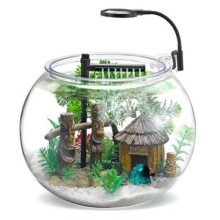 Nubios Masasüstü Beta Seti 12 L Faunus /Acrylic Faunus