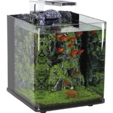 NANUX ROCK BLUBİOS DEKORLU NANO AKVARYUM 25X27X27CM