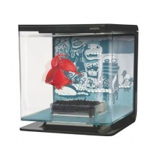 Marina Betta Başlangıç Seti Wild Thing