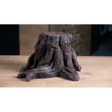 Kesik Ağaç Kökü / Amazon Kütüğü İthal Arka Fon