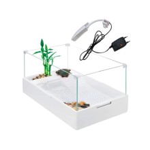 Sobo Cam Kaplumbağa Bahçesi Filtreli Lambalı 60x35x25cm--/TA-600