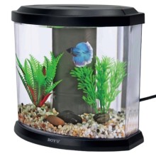 BOYU DY-1A BETA AKVARYUMU – KOMPAKT TASARIMLI, IŞIKLI MASAÜSTÜ AKVARYUM  21,5x14,5 Yükseklik 20 Cm