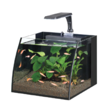 HAQOS BELLY BOX 30 AYDINLATMALI NANO AKVARYUM 16L BLACK  31 x 31 x 24cm ölçüler