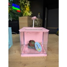 Nubios Nano Easy Tank 4,5 L Pembe / Filtreli Led Aydınlatmalı Nano Akvaryum 18,5x17x16cm