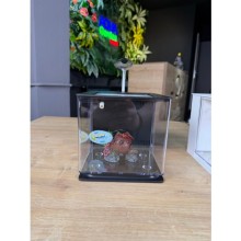 Nubios Nano Easy Tank 4,5 L Siyah / Filtreli Led Aydınlatmalı Nano Akvaryum 18,5x17x16cm