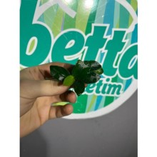 Anubias nana petite 1 kök canlı bitki ( 1-2 cm )