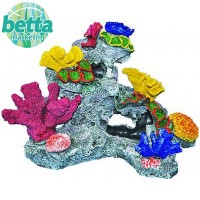 Ti-Sert Mercanlı Kaya