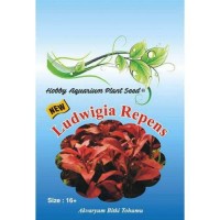 Ludwigia Repens Akvaryum Bitki Tohumu 16 Adet