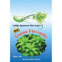 Tonina Fluviatilis Akvaryum Bitki Tohumu 16 Adet