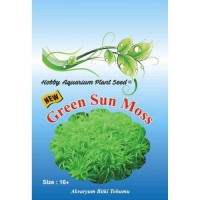 Green Sun Moss Akvaryum Bitki Tohumu 16 Adet