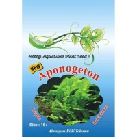 Aponegeton Crispus ve Boivianus Bitki Tohumu 16 Adet