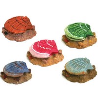 Chicos Akvaryum İçin Dekoratif İstiridye