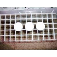 İsta Mercan Fraglama Tutucusu 10 Adet