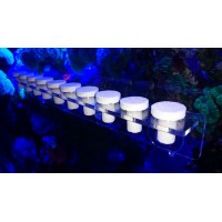 İsta Mercan Fraglama Tutucusu 10 Adet