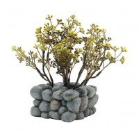 Fluval Chı İçin Tabanlı Yapay Bitki