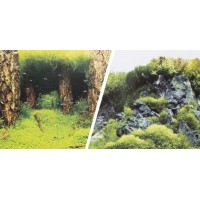 30 cm 1Metre Çift Taraflı Akvaryum Arka Fon Neon balıklı ve bitkili 