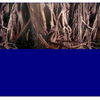 49 CM 1Metre ÇİFT TARAFLI  AKVARYUM  ARKA FON KÖKLÜ VE MAVİ  