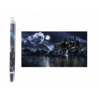 H2sh0w Sihirli Dünya 3 Boyutlu + Jel