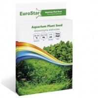 Eurostar Bitki Tohumu Glossostigma Elatinoides