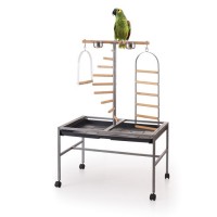 Papağan Kafesi İçin Ayaklı Tünek