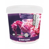 ReeFlowers Caledonia Reef Salt 1 Kg (Kovadan Bölme)