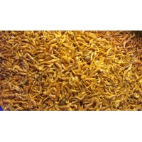 Rotifish Sd Shrimp 50 gr (Kovadan Bölme)