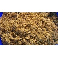 Rotifish Fd Bloodworms 10 gr (Kovadan Bölme)