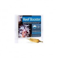 Prodibio - Reef Booster 12 Ampül*