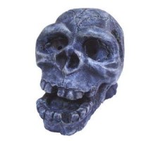 Chicos Akvaryum İçin Dekor Kuru Kafa (8x11x10)