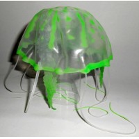 Renkli Deniz Anası Dekoru M Boy Yeşil