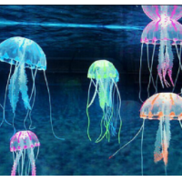 Renkli Deniz Anası Dekoru M Boy Mavi