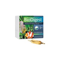 Prodibio - BioDigest 12 Ampül*