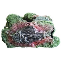 Ti-Sert Fosilli Kaya *D-321*