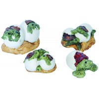 Ti-Sert Yumurtadan Çıkan Kaplumbağa *D-509*