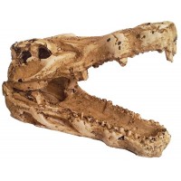 Ti-Sert Timsah Kafası *D-252*