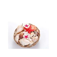 Yapay Mercan Sepeti 8 inç