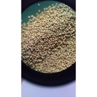 Artemia Yumurtası 50 Gr %90-95 Açılım Oranında